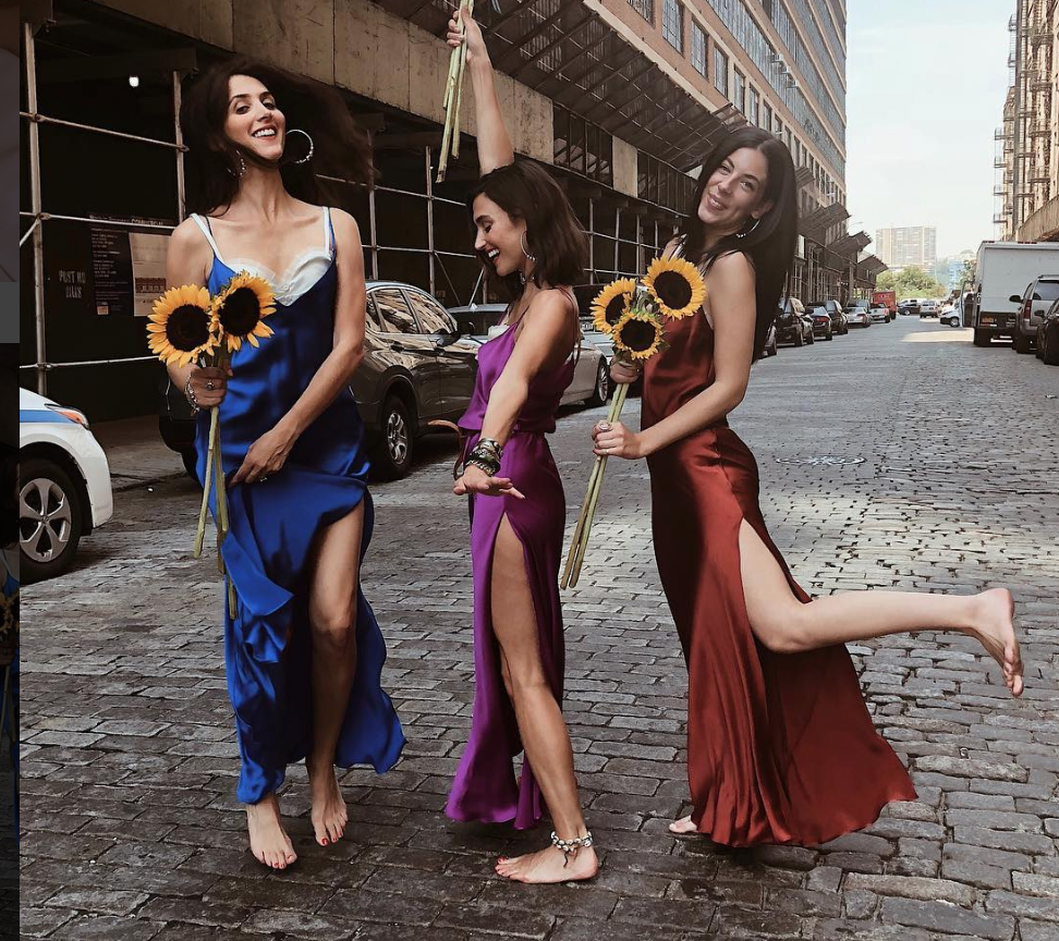 Dannijo slip dress sales review