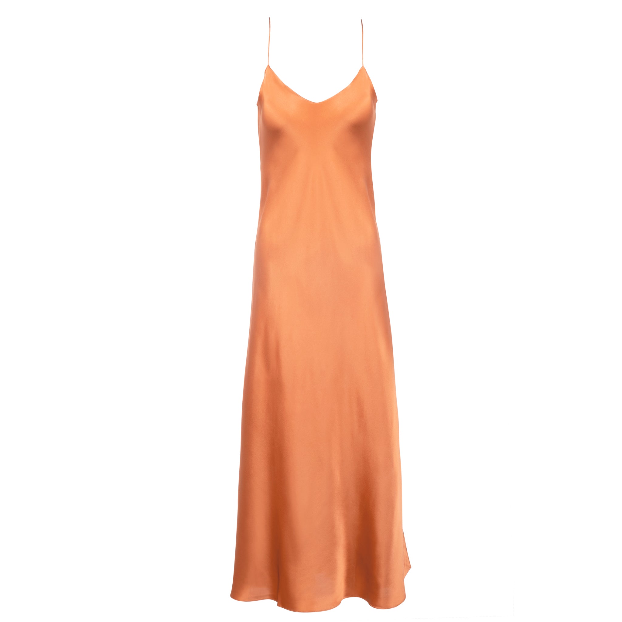 Earth Maxi Slip Dress | Dannijo Earth Maxi Slip Dress | Dannijo